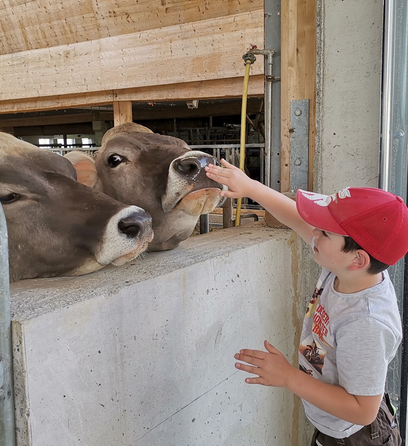 Im Stall vom Ferienhof Nägele