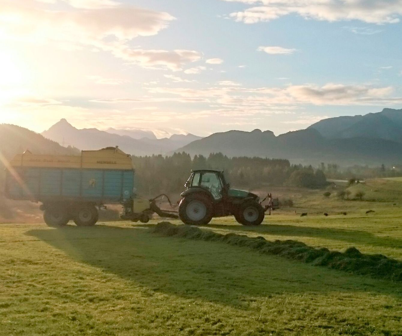 Fuhrpark am Ferienhof Nägele