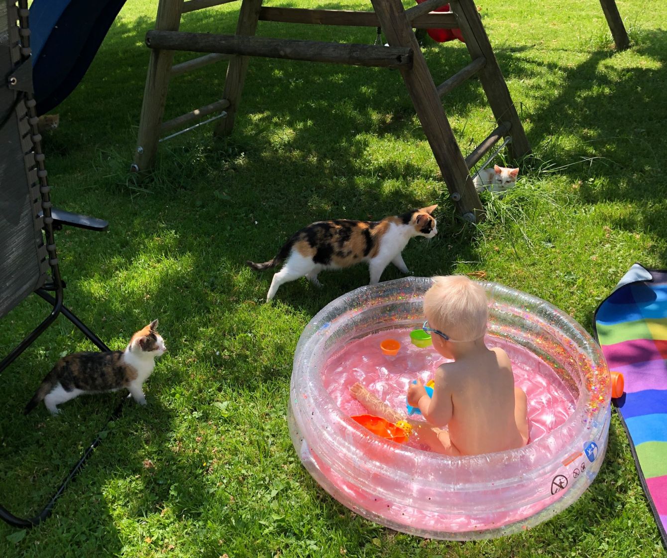 Planschbecken im Garten