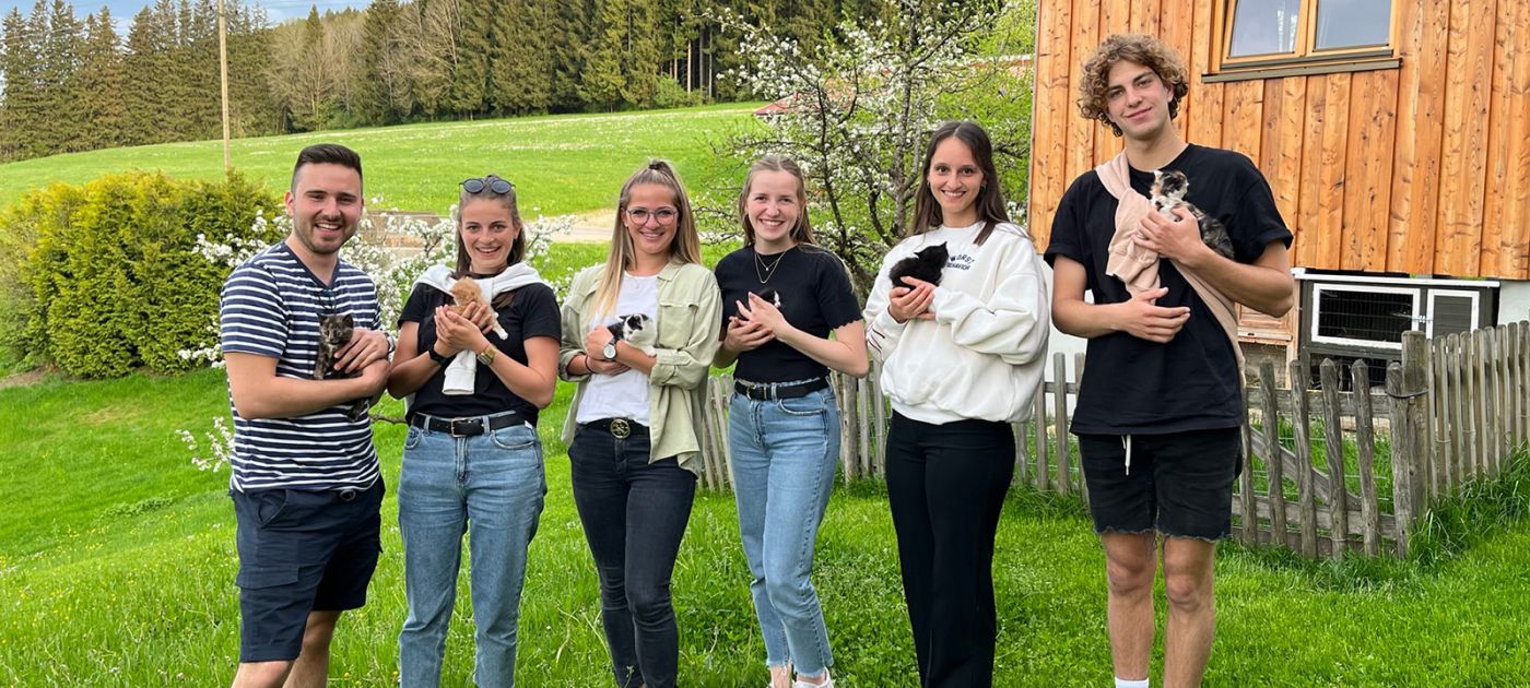 Gruppe mit Babykätzchen