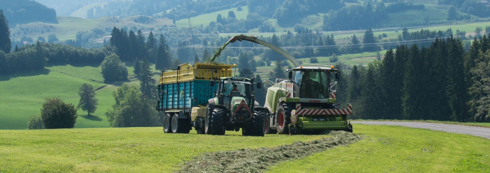 Feldarbeit in der Idylle Feldarbeit in der Idylle