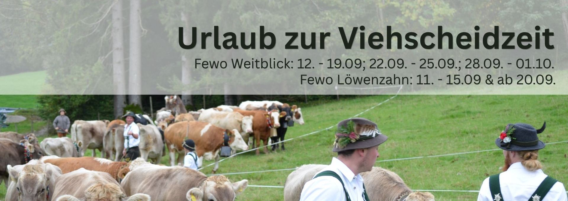 Urlaub zur Viehscheidzeit