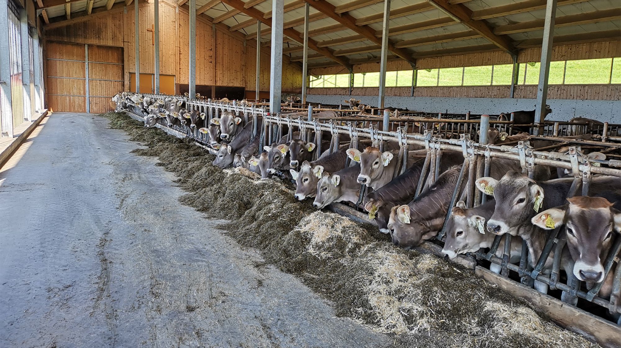 Der Stall auf dem Ferienhof Nägele