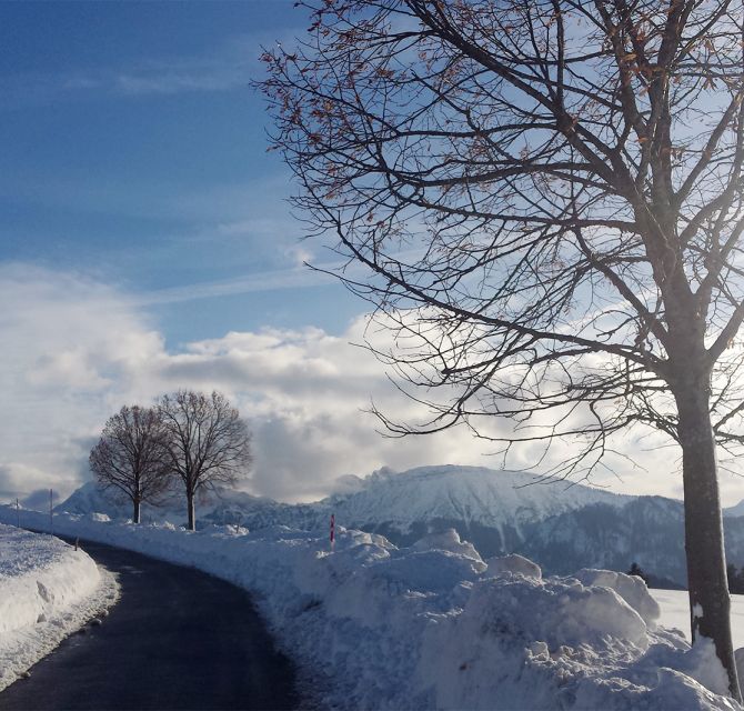 Winterlandschaft bei Seeg, Ferienhof Nägele