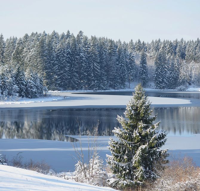 Der Kögelweiher im Allgäu